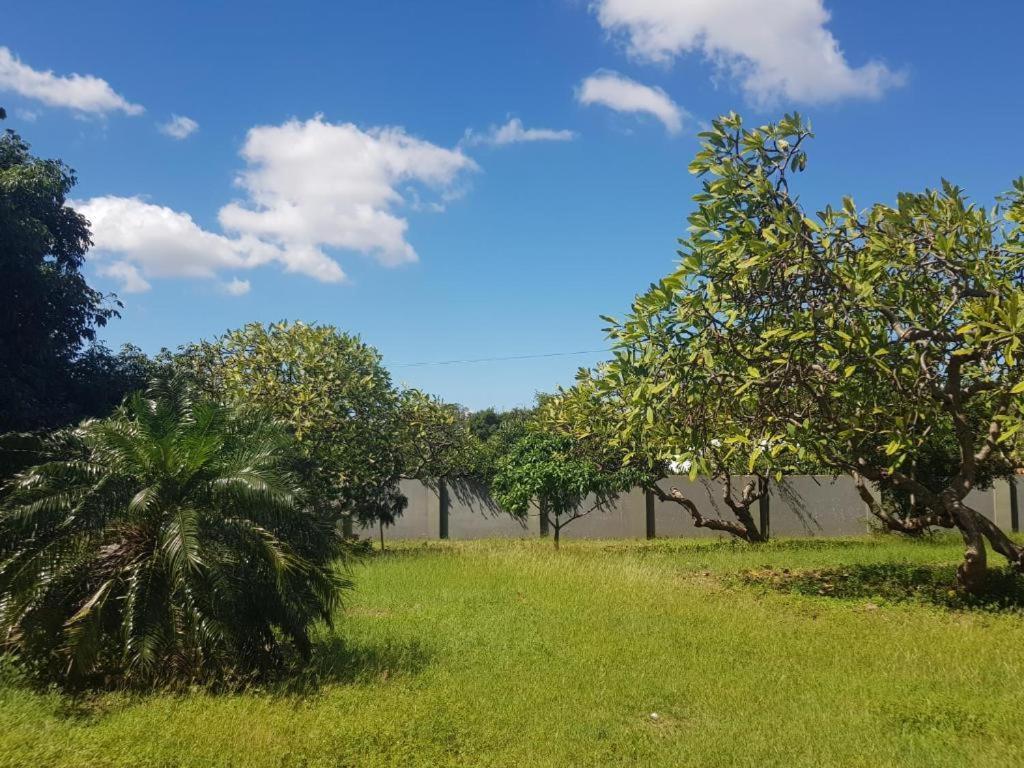 4-Pers Accomodatie Julianadorp, Curacao Willemstad Zewnętrze zdjęcie